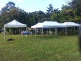 6 x 12 Metre Marquee